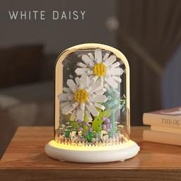 White daisy