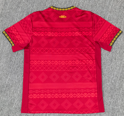 Camiseta edición especial Brazil 25/26