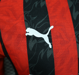 Camiseta AC Milán 25/26