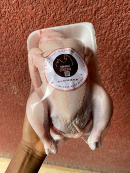 Poulets léger  🐓 