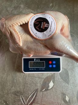 Poulet Pondeuses 🐓 