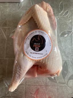 Poulet Pondeuses 🐓 