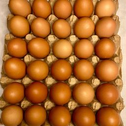 Plaquette d’œuf frais 🥚 🍳 