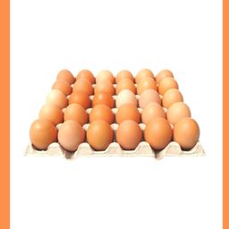 Plaquette d’œuf frais 🥚 🍳 