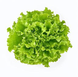 Salade ( laitue 🥬 )