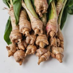 Certified Organic Fresh Galangal (Thai Ginger) 454 g / Orgánico Certificado Galangal Fresco 454 g