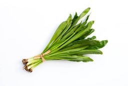 Certified Organic Fresh Culantro 50 g / Orgánico Certificado Culantro Fresco 50 g