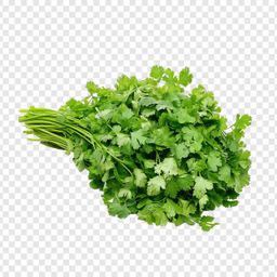 Coriander bunch large