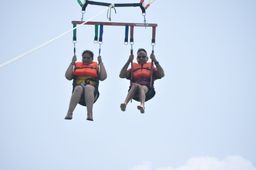 ⚜️PARACELLIN⚜️