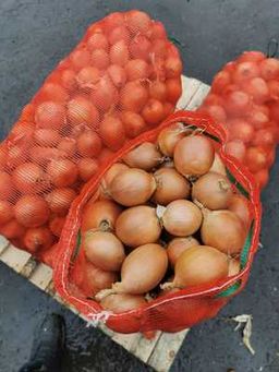 Сетка Лука 20кг