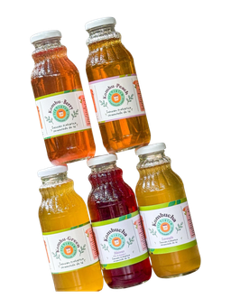 Fermentum Kombucha Varieties / Variedades de Kombucha Fermentum