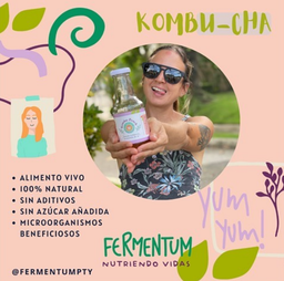 Fermentum Kombucha Varieties / Variedades de Kombucha Fermentum