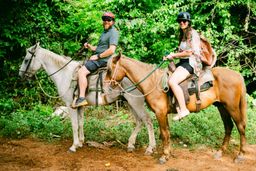 Horseback Riding – Aventura a Caballo en la Naturaleza Dominicana 