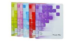 Cahier PM Premier plus 196