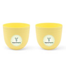 Yellow17 | 6.5inch