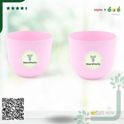 Pink14 | 5.5inch