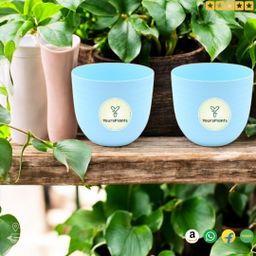 Blue15 | 6inch