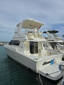 Night Live un the Sea