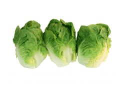 Salade Sucrime 1kilo