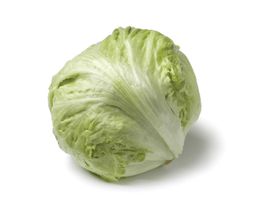 Salade Iceberg 1 pièce