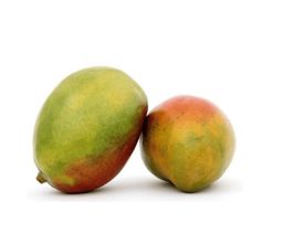 Mangue 