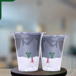 Mascot Self Watering  Glassy 5-Inch Pot | Pack Of 2, Good for Lucky Bamboo