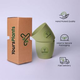 Round 1110 Planter-Fits 4''Grower Pot Plants {Free Organic Pot Mix} Pack of 2 | Olive