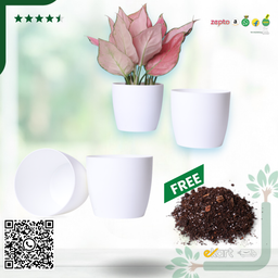 Round 1110 Planter-Fits 4''Grower Pot Plants {Free Organic Pot Mix} Pack of 2 | White