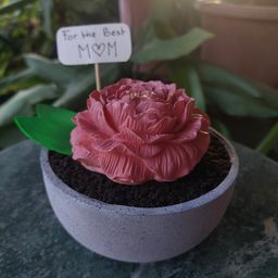 THE ART OF CHOCOLATE CREATIONS | A TIMELESS GIFT