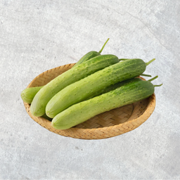 Korean Cucumber 2pcs きゅうり 한국산오이