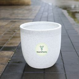 White-12inch 