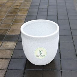 White with Wheels -14inch