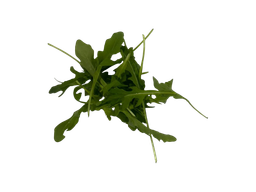 The Green Batch – Baby Arugula PET 90g / Baby Arúgula PET 90g