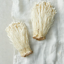Korean Enoki Mushroom エノキ 팽이버섯