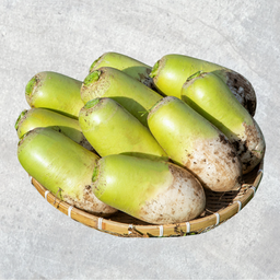 Korean Jeju White Radish