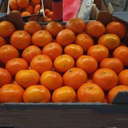 Mandarine importe /kg