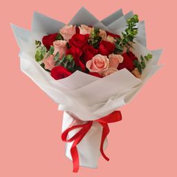 271 - Ramo del cielo 