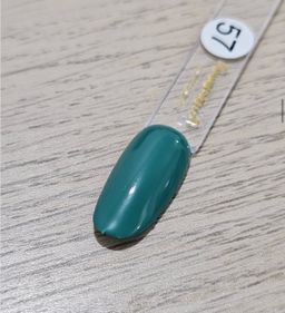 Gel Polish #57