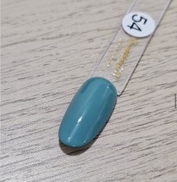 Gel Polish #54