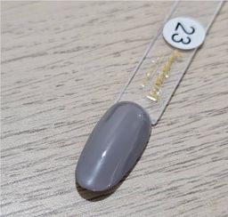 Gel Polish #23