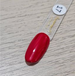Gel Polish #17