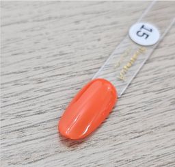 Gel Polish #15
