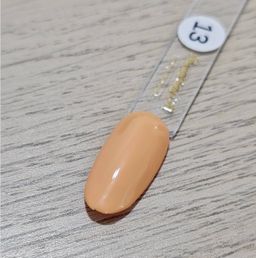 Gel Polish #13