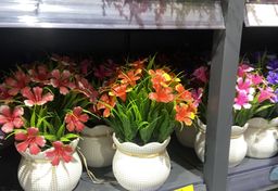 🌺 Pot Fleuri Coloré – Éclat & Élégance 🌿