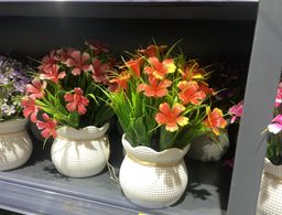 🌺 Pot Fleuri Coloré – Éclat & Élégance 🌿