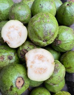 Guava 3pc
