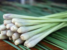 Lemongrass
