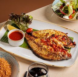 سمك شعري سنجاري