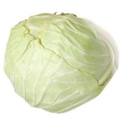 Organic round cabbage  1kg+-