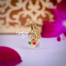 MorShubhra Press Nath